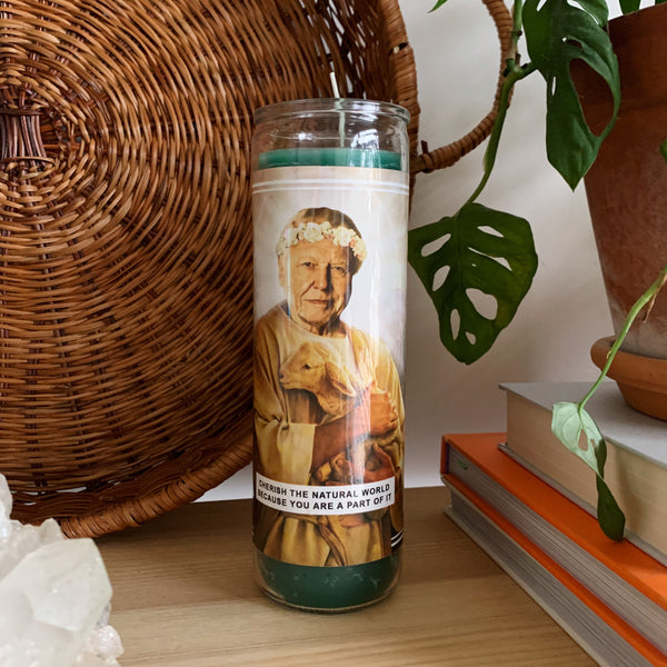 Saint Attenborough Prayer Candle