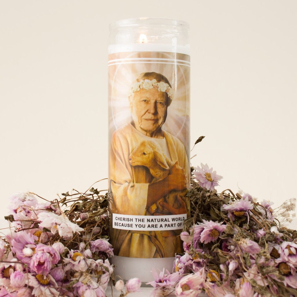 Saint Attenborough Prayer Candle